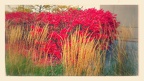 20151028 110438 001-EFFECTS