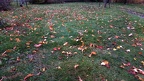 20151029 104926